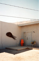 ©Andrew McLeod. All rights reserved.